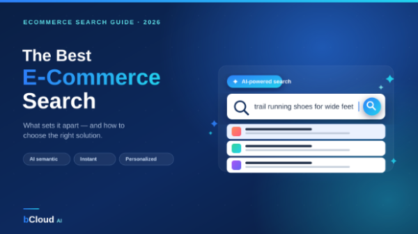 Guide for effective e-commerce search